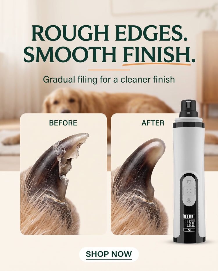 Avoro Quiet LED Dog Nail Grinder with LED light, promotional image