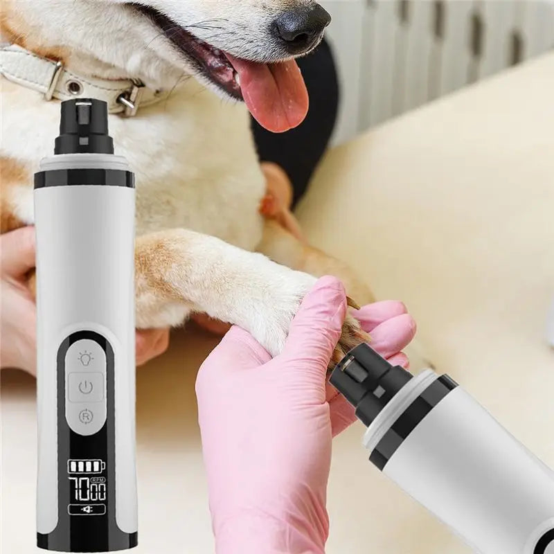 Gloved hands using the Avoro nail grinder on a dog's paw, beside a front view of the grinder