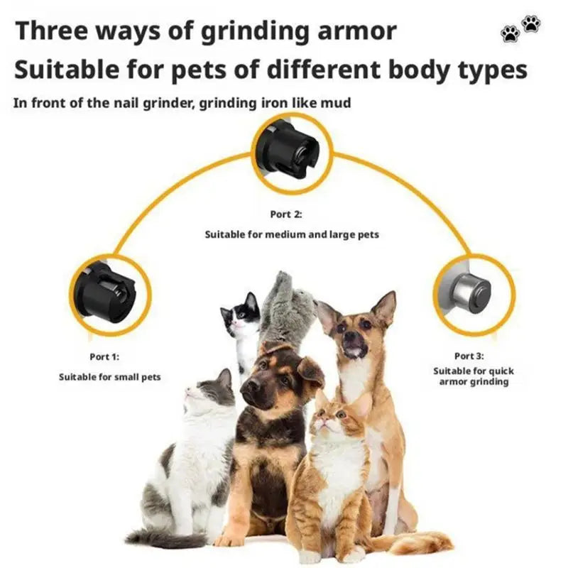 Avoro dog nail grinder's three interchangeable grinding port caps, shown with dogs and cats