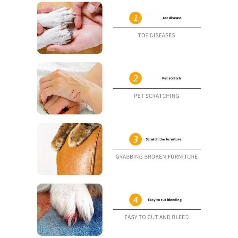 Four-panel graphic showing overgrown paw nails, scratched hands, scratched furniture and an injured nail